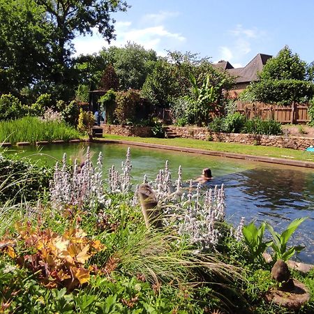 Prats-du-Périgord Maison De Charme, Piscine Naturelle Dordogne Perigord מראה חיצוני תמונה